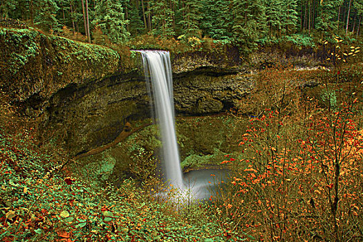 秋天,南,瀑布,银色瀑布州立公园,俄勒冈,美国