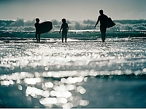父亲,儿子,海滩,加利福尼亚,美国