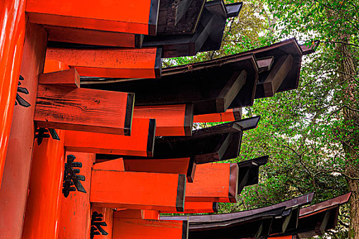 日本,京都,大门,神社,画廊