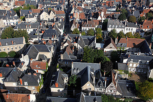法国,中心,卢瓦尔河谷,博格斯,中世纪城市,俯视