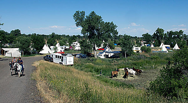 美国,蒙大拿,圆锥形帐篷,营地,几个,星期,地点,八月