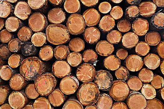 一堆木材,苏格兰