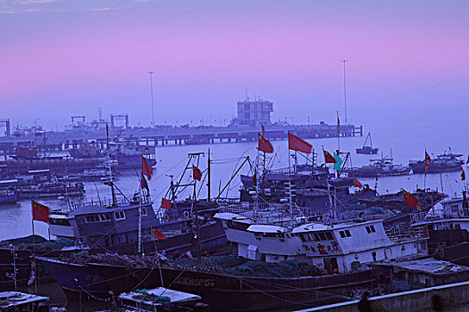 南通,启东市,江苏南通,启东市圆陀角景区,渔港码头