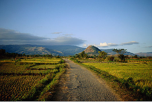道路,菲律宾