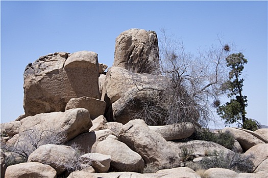 石头,约书亚树,公园