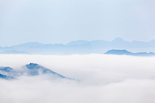 陕西巴山云雾