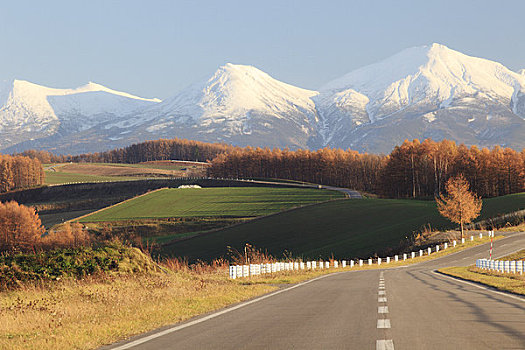 十胜岳山,道路