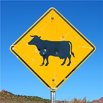 牛,放牧,标识