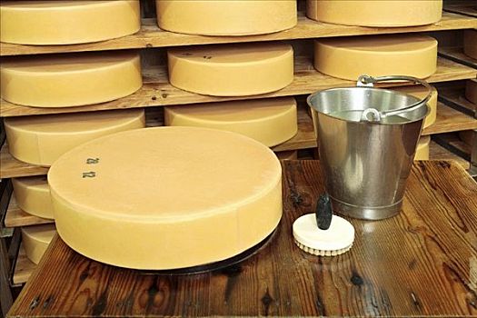 奶酪,高山奶酪,桶,刷