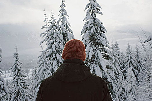 后视图,男人,看,积雪,树,高山,草地