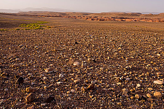 石头,西部,撒哈拉沙漠,摩洛哥,非洲