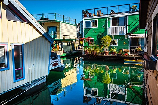 水上住宅,乡村,绿色,褐色,船屋,渔人码头,反射,内港,维多利亚,温哥华,不列颠哥伦比亚省,加拿大