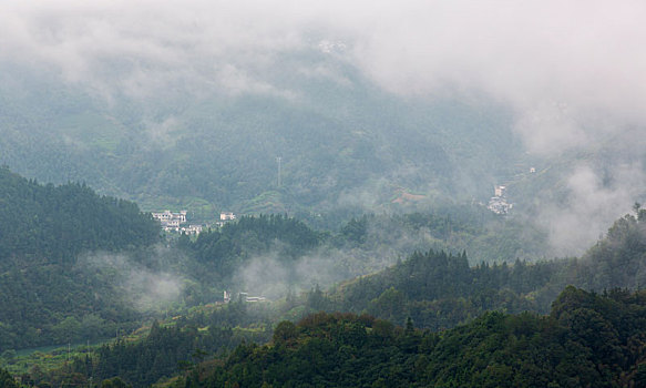 云雾坡山