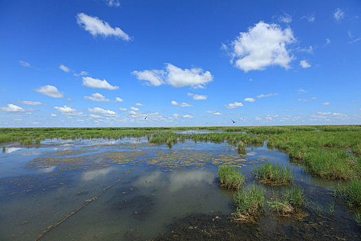 中国最秀美的雁窝岛湿地