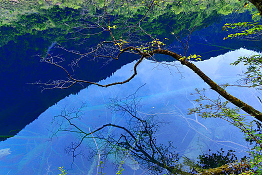 中国,四川省,风景区,五花海