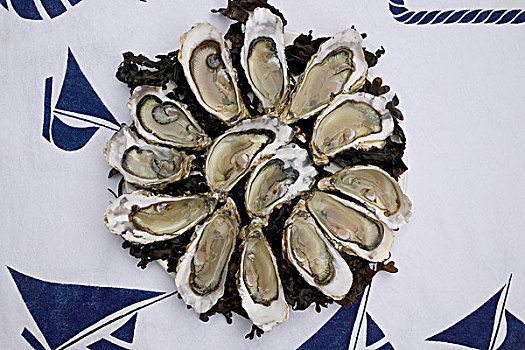 牡蛎,大浅盘,桌布,装饰,船,布列塔尼半岛,法国
