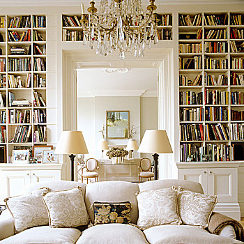 灯光,软垫,沙发,正面,书架,风景,客厅