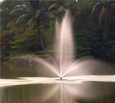 喷泉,棕榈树