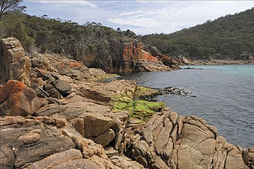 红色,花冈岩,石头,困,湾,遮盖,苔藓,塔斯马尼亚,澳大利亚