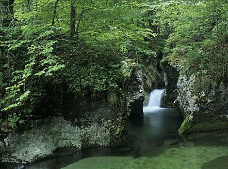 瀑布,峡谷,斯洛文尼亚