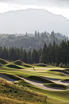 风景,远景,一个,打高尔夫,绿色,高尔夫球场