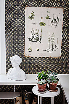植物,插画,墙壁,装饰,图案,壁纸,高处,女人,盆栽植物,小,桌子