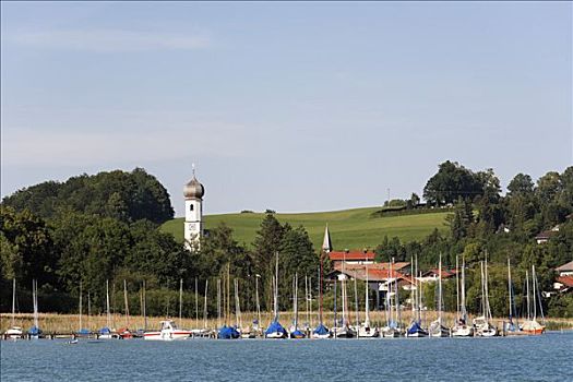 湖,泰根湖,上巴伐利亚,德国