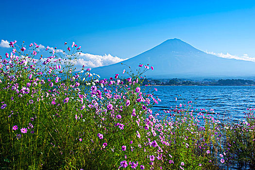 山,富士山,湖