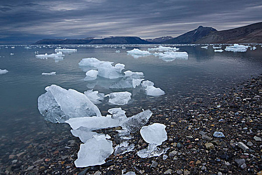 冰,浮冰,多云,白天,斯匹次卑尔根岛,斯瓦尔巴特群岛,挪威,斯堪的纳维亚,欧洲