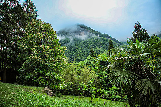 神农架,祭坛,风景,景点,旅游,高山,瀑布,河流,神秘,树木,植被,古树,长寿,雕塑,壮观