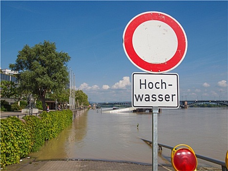 美因茨,德国,六月,莱茵河,洪水