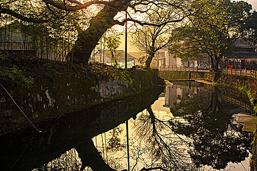 鄞州,咸祥镇,古村,村庄,芦浦村