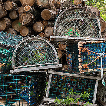 螃蟹,罐,一堆,木堆,河,海洋,新斯科舍省,加拿大