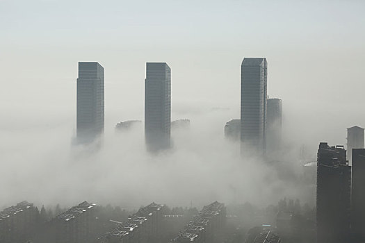 日照港出现平流雾奇观,几十米高的门机桥吊只露顶端