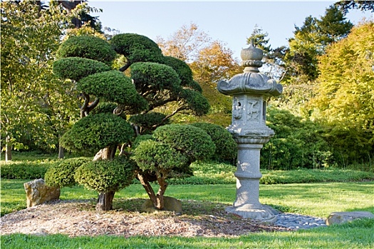 石灯笼,盆景树,日式庭园