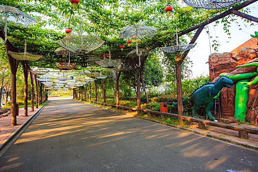 林荫,道路,阳光,花架