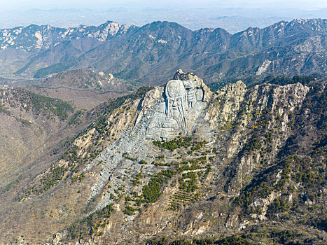 山东蒙山寿星