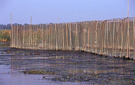 山东泰安水泊梁山所在地东平湖