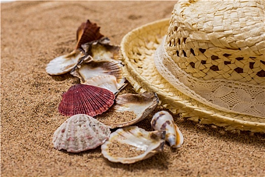 海螺壳,沙子