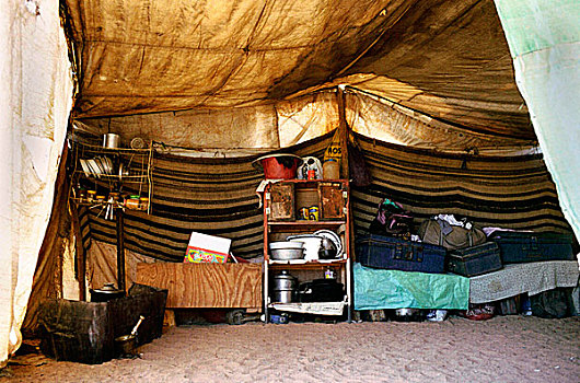 游牧,厨房,西奈,2002年