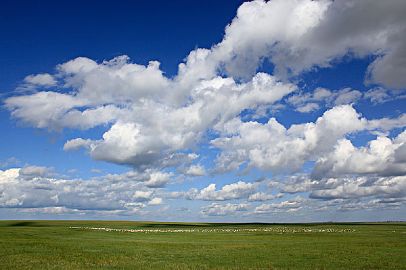 草原,羊,天空,云彩_高清图片_全景视觉