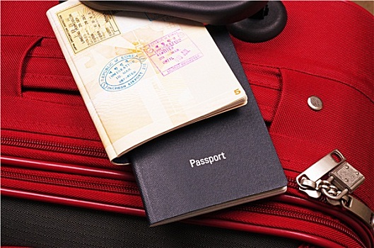 护照,红色,手提箱