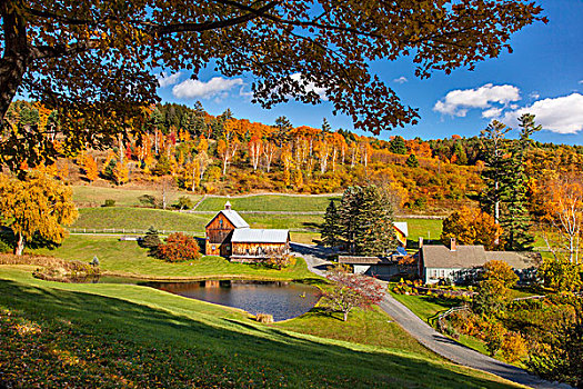 秋天,断头谷农场,靠近,佛蒙特州,美国