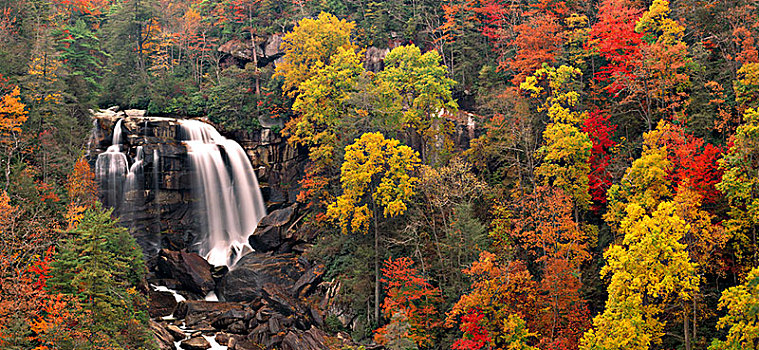 瀑布,秋天,白天,白浪,州立公园,北卡罗来纳,美国