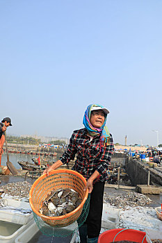 山东省日照市,渔船回港,市民逛渔码头淘鲜