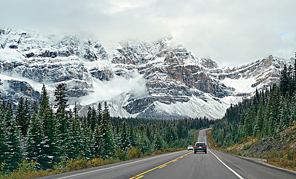 公路,雪山,树林,汽车,班芙国家公园,加拿大
