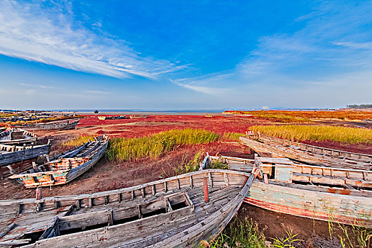 辽宁省盖州市渤海湾红海滩自然景观