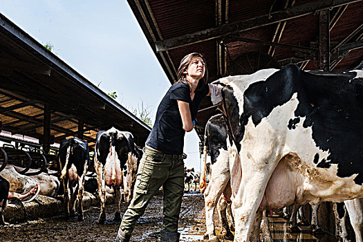 女性,有机,农民,试体温,后面,乳牛场
