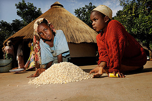 孩子,帮助,准备,食物,乡村,区域,喀麦隆,非洲