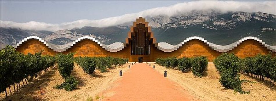 葡萄酒厂,建筑,阿拉瓦,巴斯克,西班牙